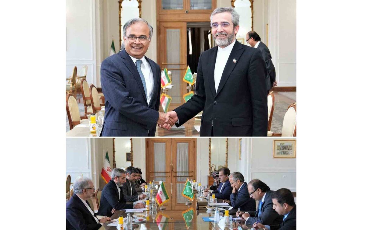 برگزاری گفتگو‌های مشورتی سیاسی معاونان وزیران خارجه ایران و پاکستان