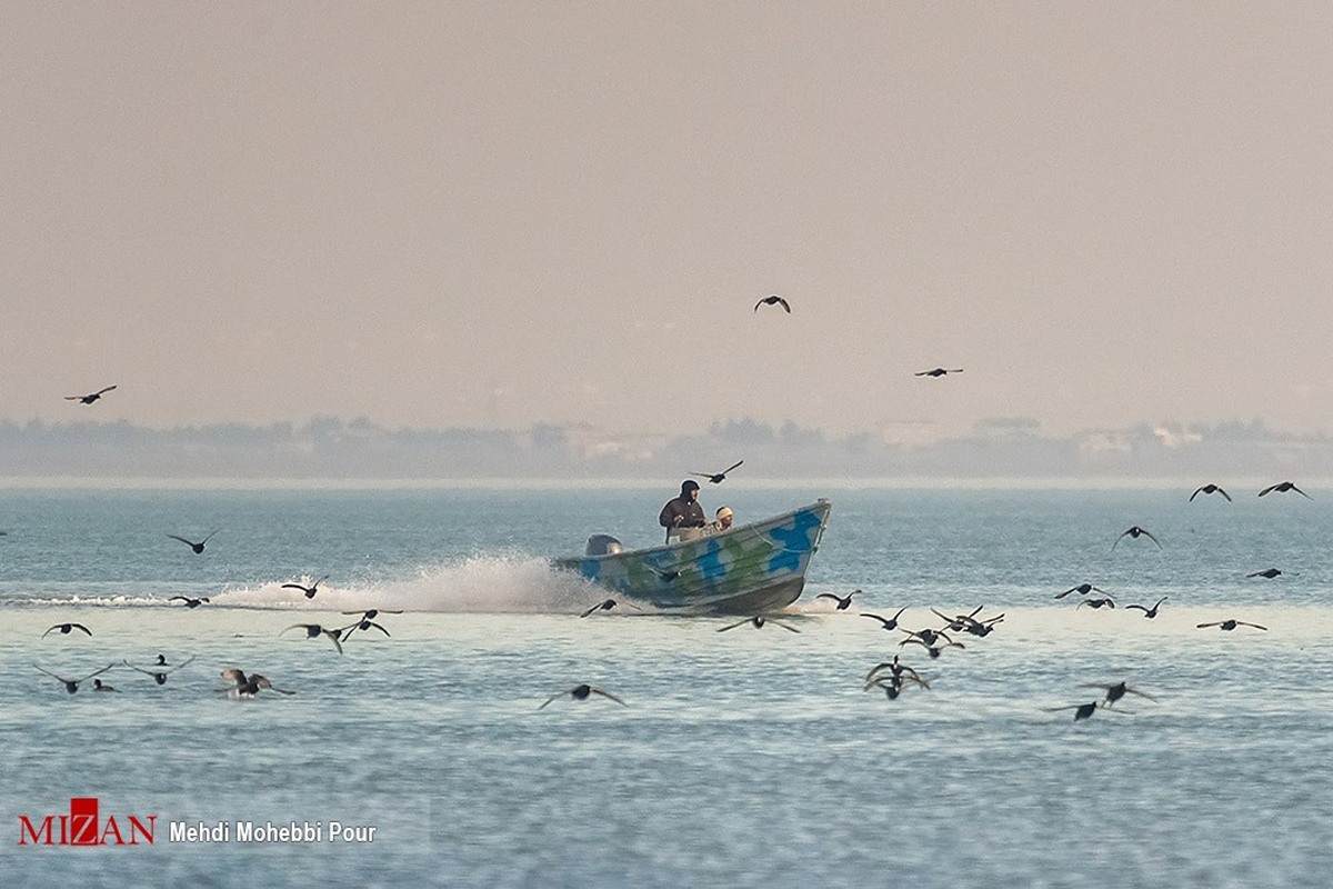 اقدامات قضایی برای حل مشکل حقوقی طرح گردشگری جزیره آشوراده آغاز شد