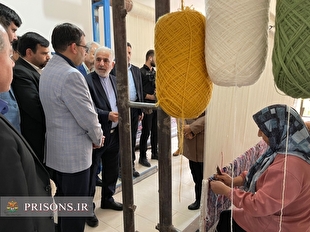 بازدید رئیس سازمان زندان‌ها از کارگاه‌های تولید فرش دستباف شهرستان راور