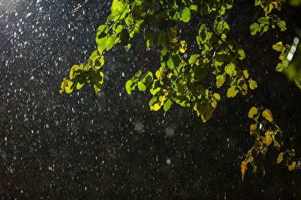 بارش باران پاییزی - اصفهان