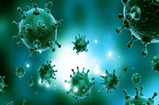 شیوع ویروس آنفولانزا در بخش‎هایی از جهان؛ علائم چیست و راه درمان چگونه است؟